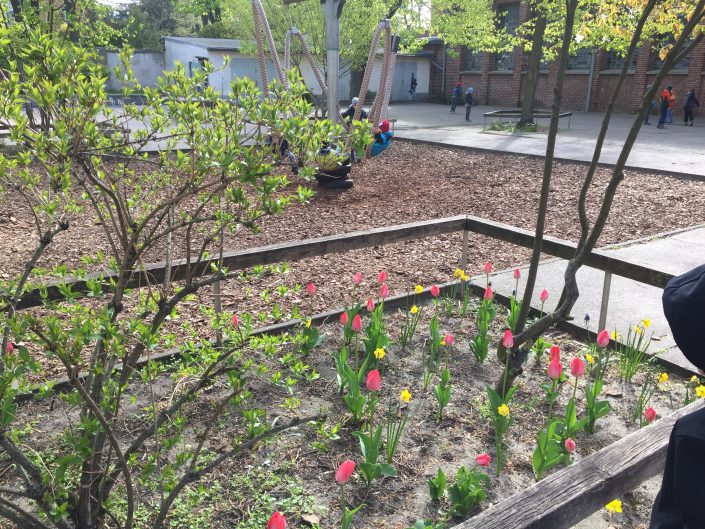 Unser Name ist Programm: WIR SIND IM GARTEN! – Grundschule in der