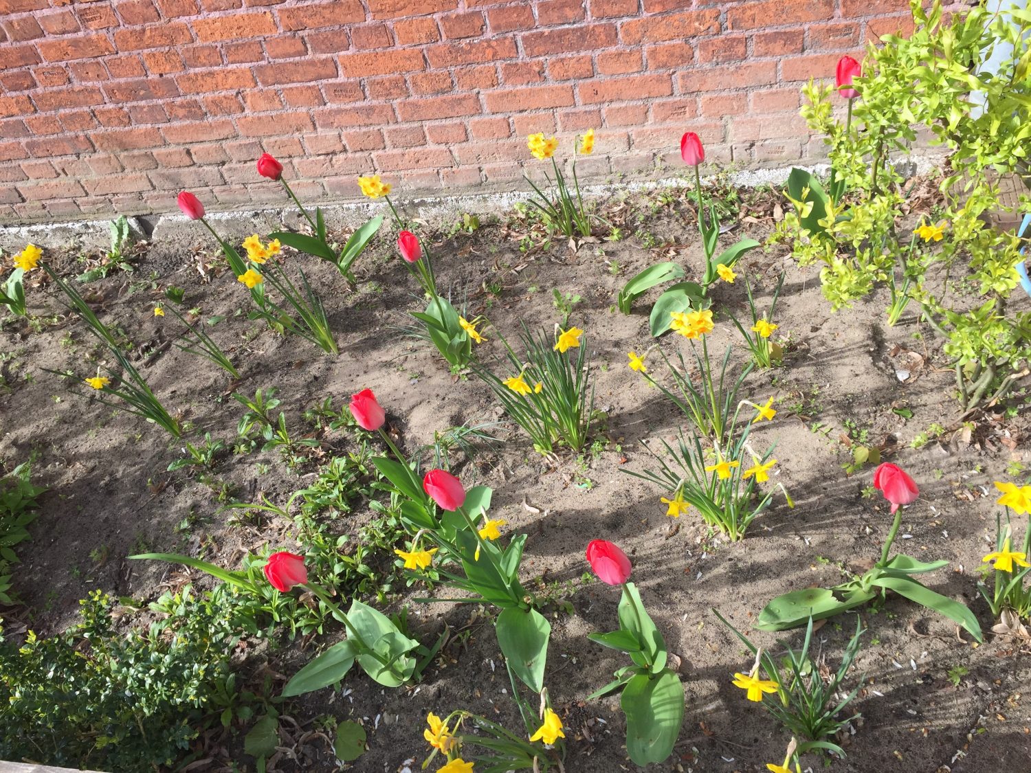 Unser Name ist Programm: WIR SIND IM GARTEN! – Grundschule in der